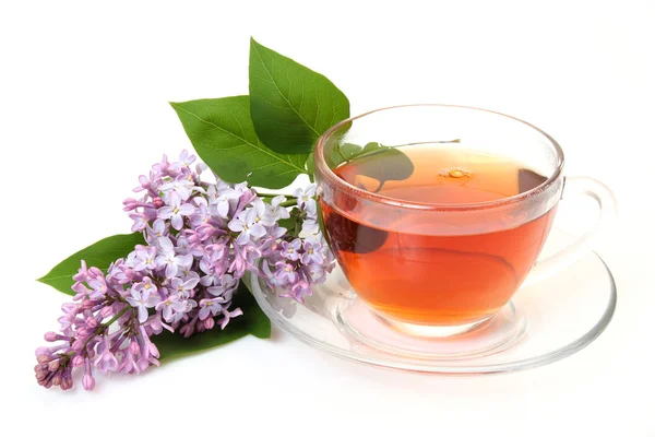 Blossoming branch of a lilac and tea Royalty Free Stock Photos