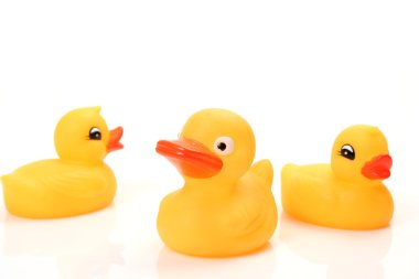 Rubber duck clipart