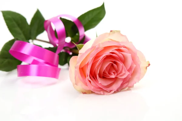 Rosa e fita adesiva — Fotografia de Stock