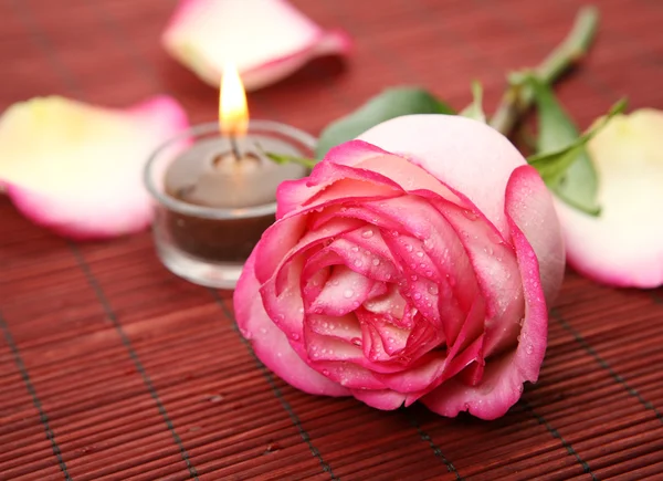 Rosa e candela — Foto Stock