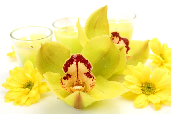 Orchideje a svíčky — Stock fotografie