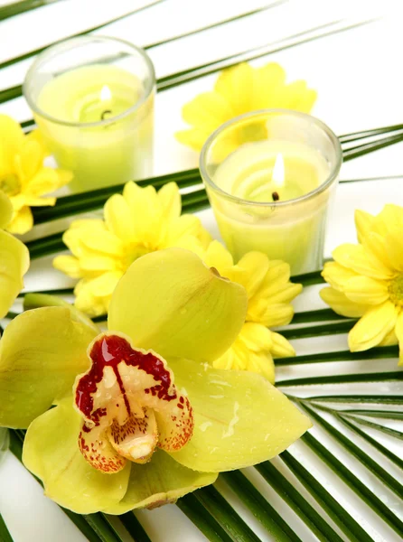 Orchidea e candele — Foto Stock