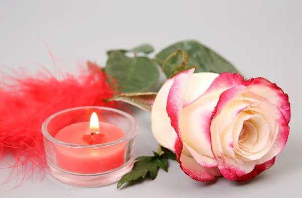 Rose und Kerze — Stockfoto