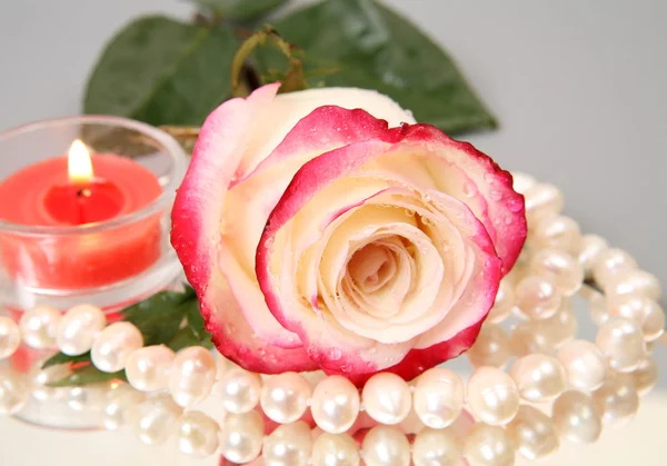 Rose and pearls — Stock Photo, Image