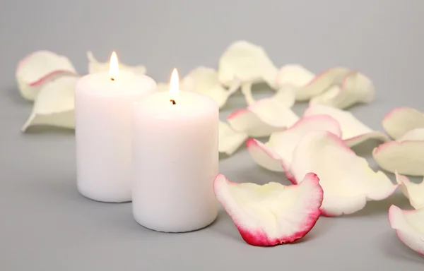 stock image Petals of roses