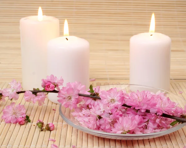 촛불과 꽃 — 스톡 사진