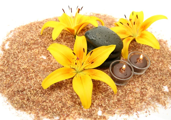 stock image Flowers and stones