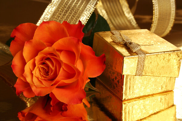 Роза и коробка
