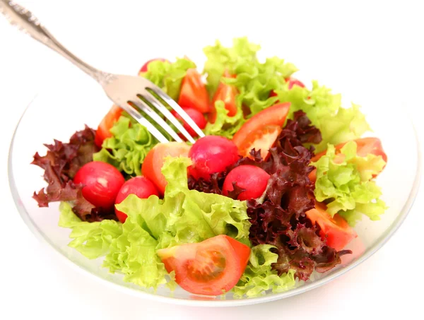 Salata sebze dan Telifsiz Stok Fotoğraflar