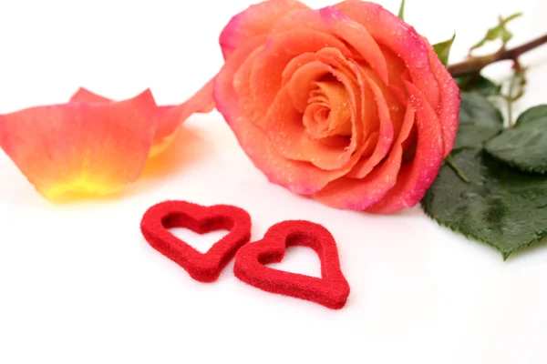 Rózsa és a szív — Stock Fotó