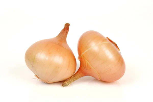 Onions on a white background — Stock Photo, Image