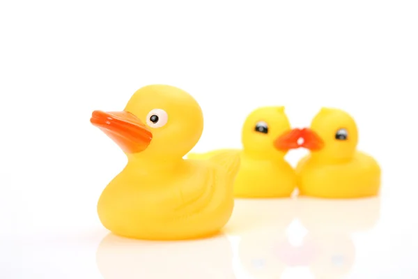 Yellow ducks — Stock Photo, Image