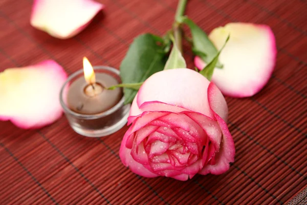 Candle and rose — Stock Photo, Image