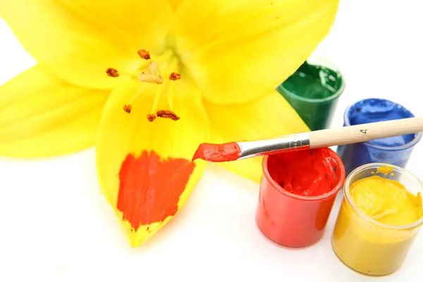 花と塗料 — ストック写真