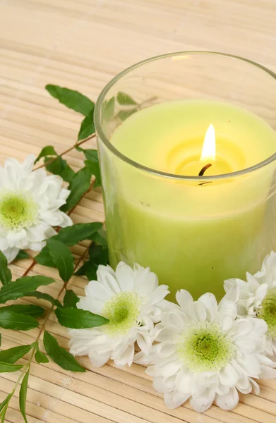 Flowers and candle — Stock Photo, Image