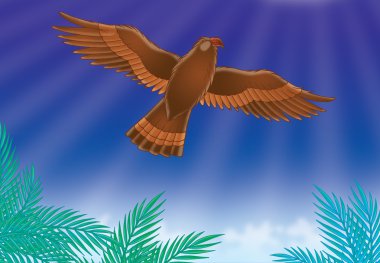 Eagle clipart