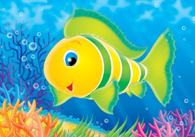 Coral fish clipart