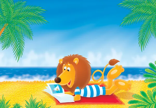 Lev na pláži — Stock fotografie