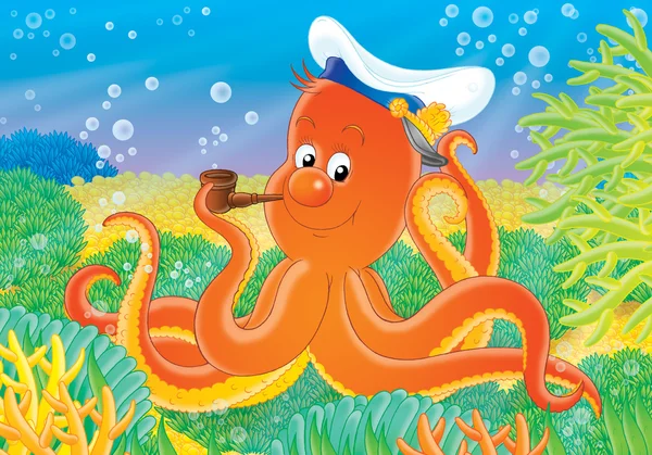 Octopus kapitein — Stockfoto