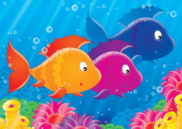 Hejno barevných ryb — Stock fotografie