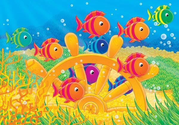 Shoal de peces de colores y la dirección wh — Foto de Stock