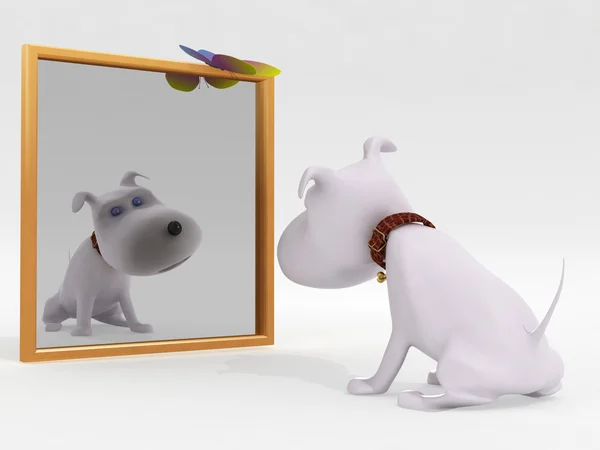개와 거울 스톡 이미지