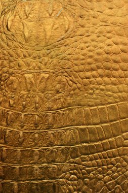 yılan derisi veya timsah doku
