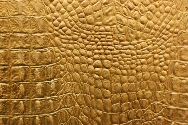 Snakeskin or crocodile texture clipart