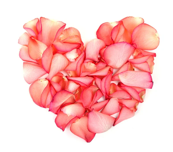 stock image Heart made of petals of roses