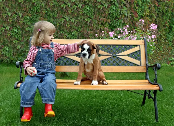 Bambina con il cucciolo del pugile — Foto Stock