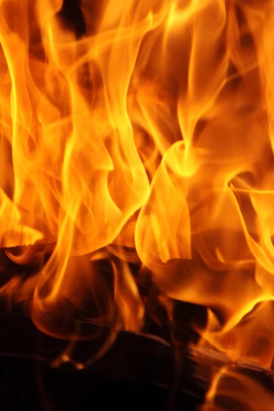 stock image Burning fire can be used as background