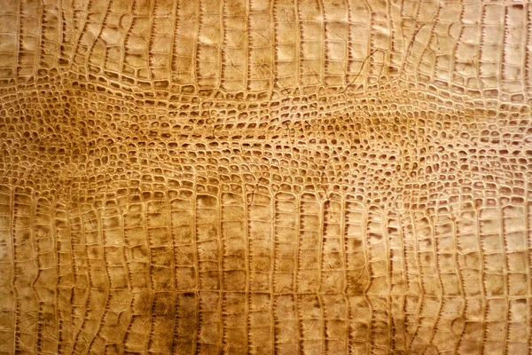 Pele de cobra ou crocodilo — Fotografia de Stock