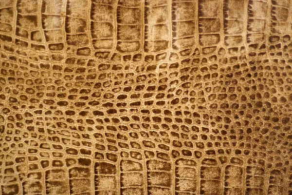 Textura de piel de serpiente o cocodrilo —  Fotos de Stock