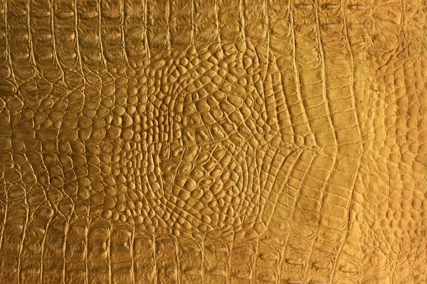 Textura piel de serpiente o cocodrilo — Stockfoto