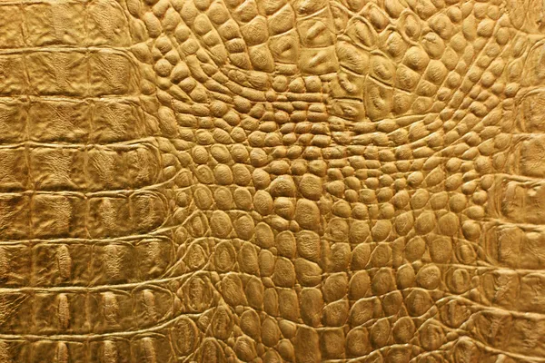 Textura piel de serpiente o cocodrilo — Stockfoto