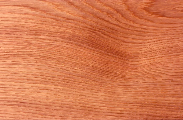 Texture en bois pour servir de fond — Photo