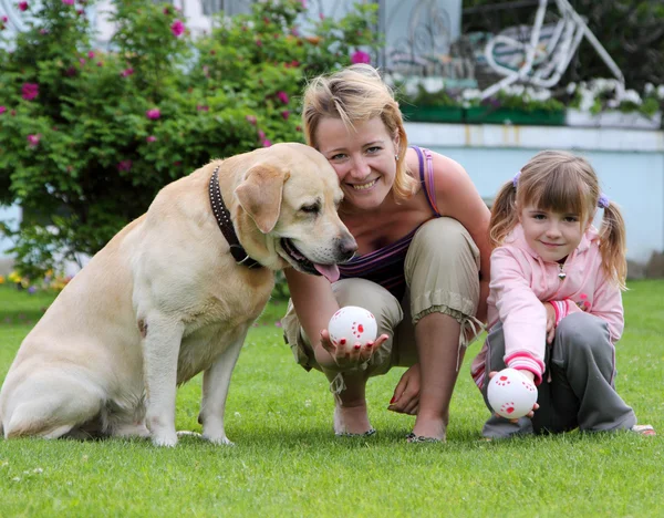 Família brinca com um cão Imagens De Bancos De Imagens Sem Royalties