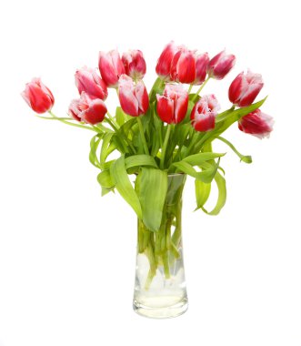 Pink tulips are in a vase clipart