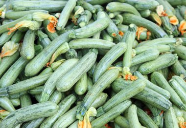 Green zucchini piled high at a market clipart