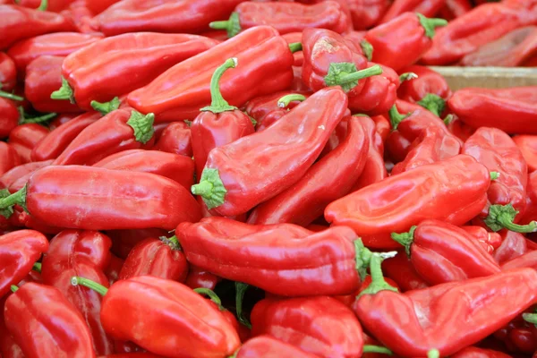 Close-up colorful peppers — Stock Photo, Image
