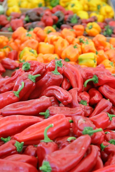 stock image Colorful peppers