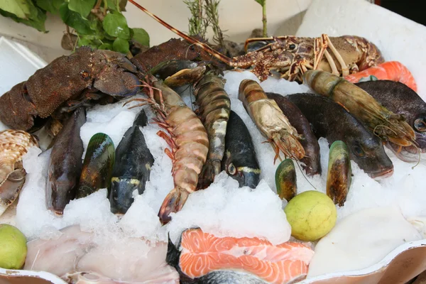 Färska seafoods — Stockfoto