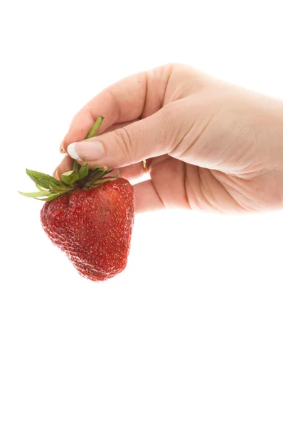 Erdbeere in den Händen — Stockfoto