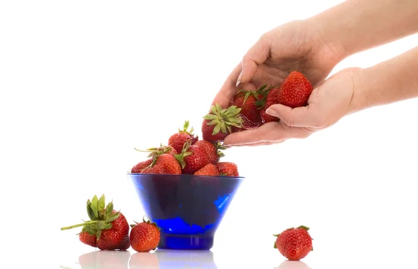 Erdbeere in den Händen — Stockfoto