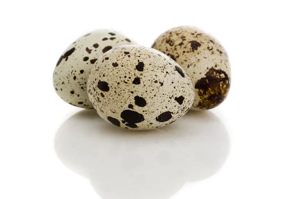 Αυγό ορτυκιού — Φωτογραφία Αρχείου