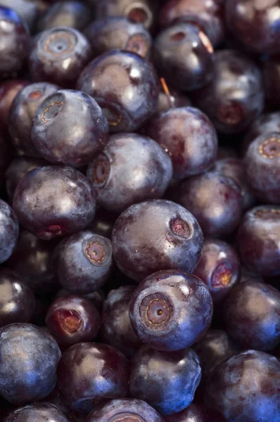 Bilberries background — Stock Photo, Image
