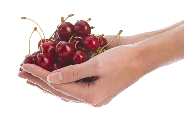 Cherries in hands — Stock Photo, Image