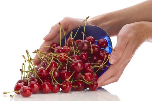 Cherries in bowl — Stock Photo, Image