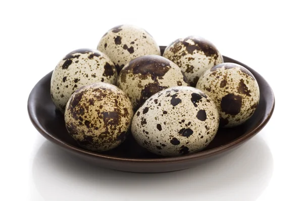Quail egg — Stock Photo, Image