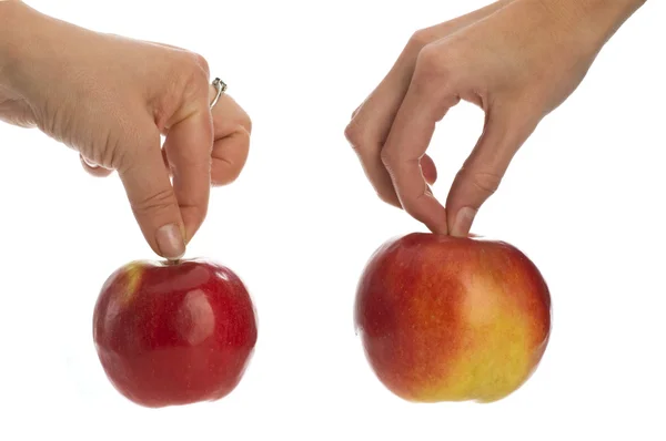Deux pommes dans les mains — Photo